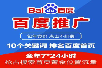 百度SEO推广公司案例分析：成功案例解析